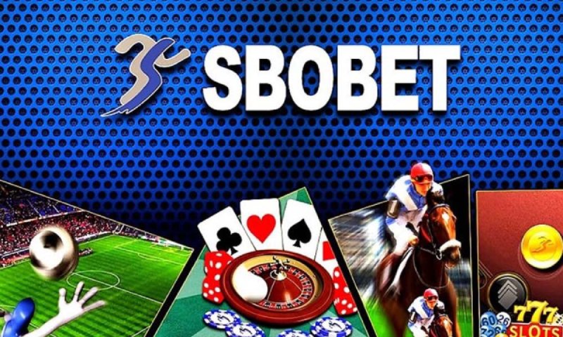 Vì sao lại lựa chọn sbobet VF5558