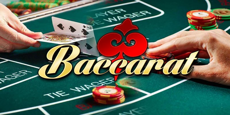 baccarat VF555